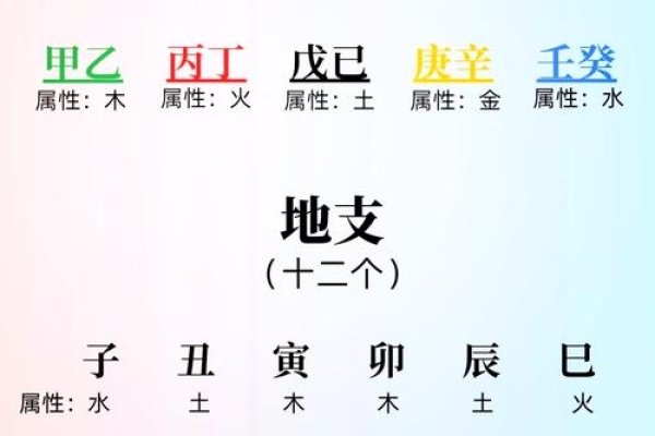 生辰八字解析,探寻五行缺失之谜-新乐天