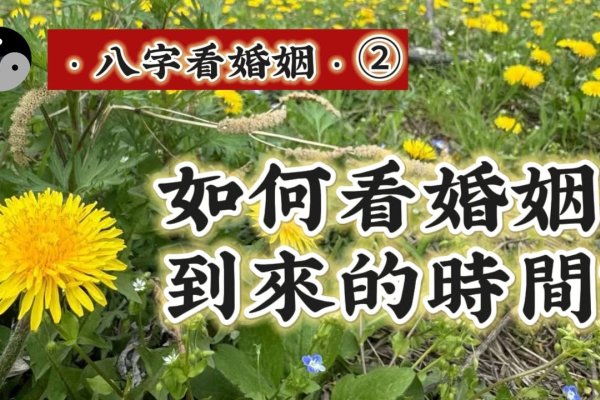 生辰八字测婚姻，探寻古老智慧在现代婚姻中的应用-新乐天