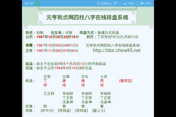 时辰八字查询，精准把握命运脉动-新乐天