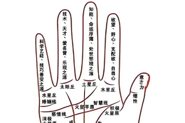 手痣的位置与命运图解-新乐天