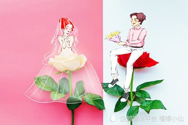 三心二意与生肖的奇妙缘分-新乐天