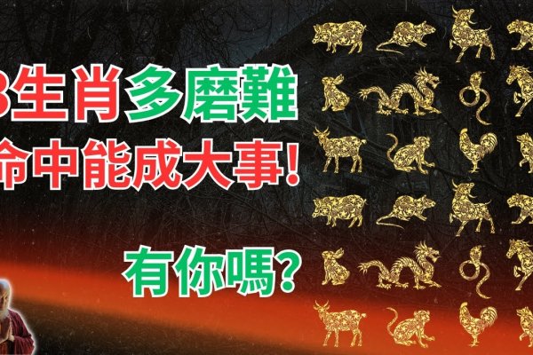 三衰六旺映生肖—揭示生肖之韵-新乐天