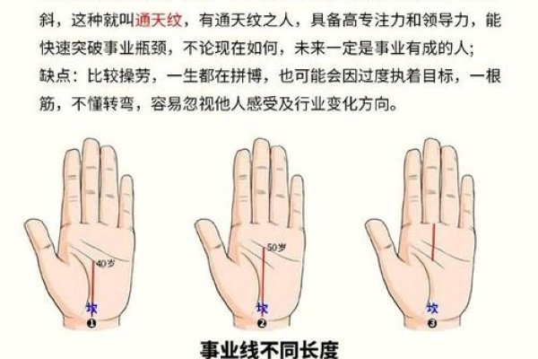 手相算命图解事业线，揭示事业成功的关键-新乐天