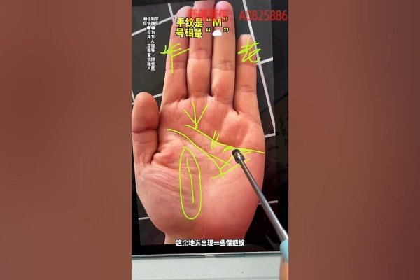 手相算命图解，解锁你掌心的秘密-新乐天
