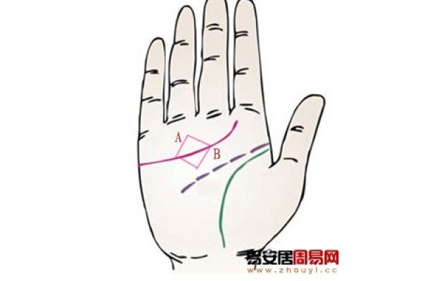 手相算命与婚姻的奥秘，探索爱情线中的未来轨迹-新乐天
