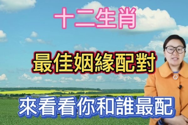 生肖缘分配对，探索天生一对的奥秘-新乐天