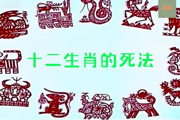 死里逃生与生肖-新乐天