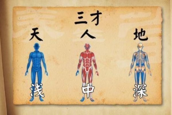 什么是三才五格？为何在传统文化中如此重要？-新乐天