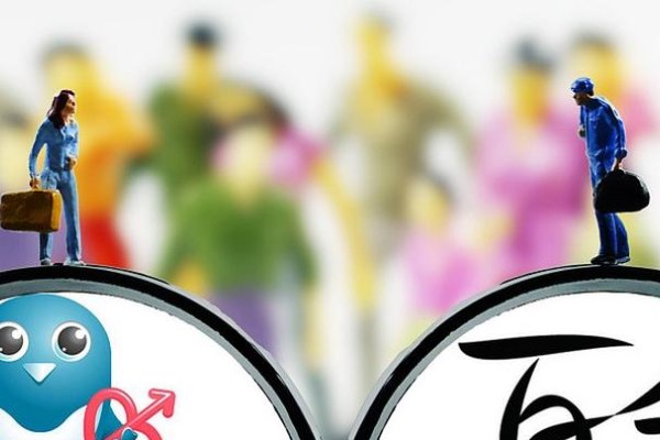 世纪佳缘婚恋网，连接心与爱的桥梁-新乐天