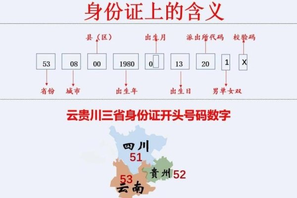 身份证号码与名字的重要性及其关系-新乐天