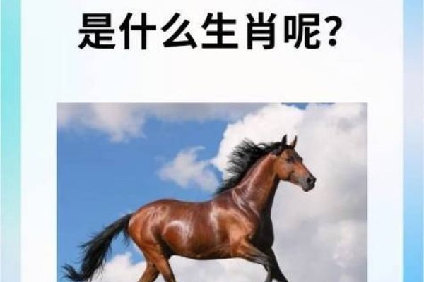 岁月如梭匆匆去打一个生肖-新乐天