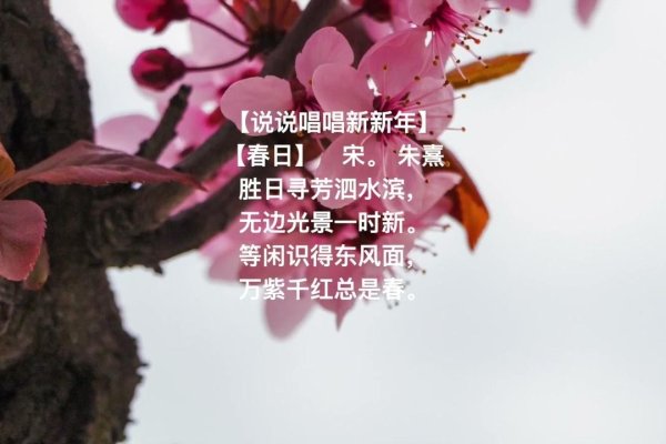 三月十四日，春天的序曲-新乐天