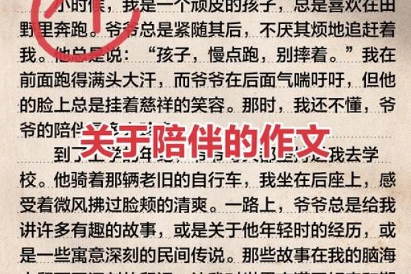 岁月里的温柔——一个关于陪伴与爱的感人故事-新乐天