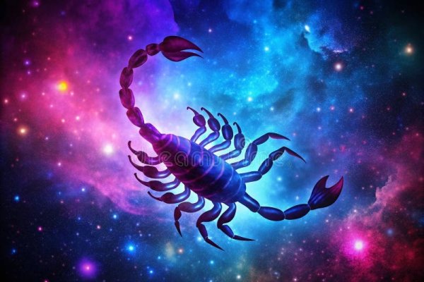 十一月什么星座，神秘而迷人的天蝎座-新乐天