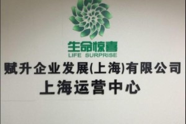 四字公司名字，匠心筑梦，卓越赋能-新乐天