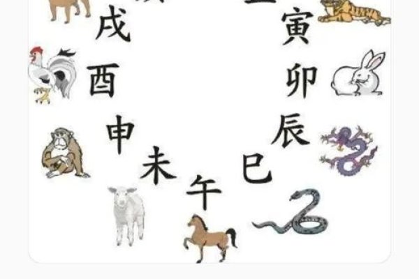 手足相连与生肖的奇妙联系-新乐天