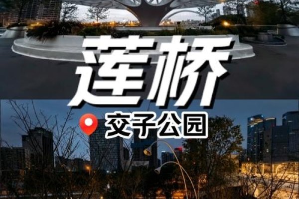 同城交友论坛，连接城市心跳的桥梁-新乐天