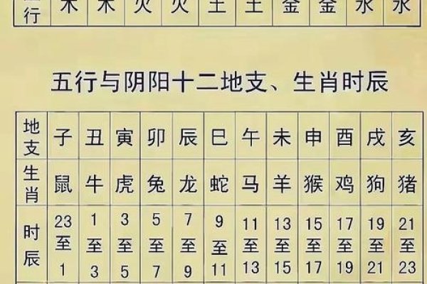 天干地支五行对照表，古代智慧的传承与现代应用-新乐天