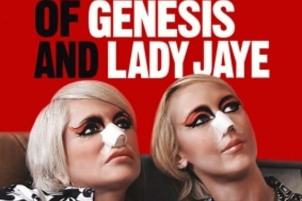 The Genesis of Artistic Netnames-新乐天