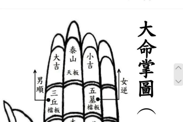 通关手，断掌与长寿、智力及疾病风险的关联-新乐天