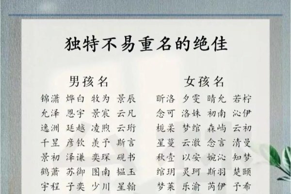 同名同姓免费查询，探寻名字背后的故事-新乐天