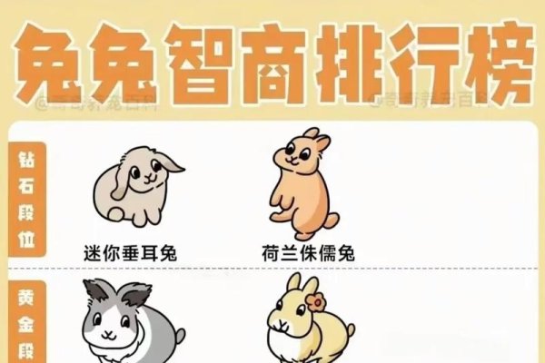 天生一对是兔子的生肖-新乐天