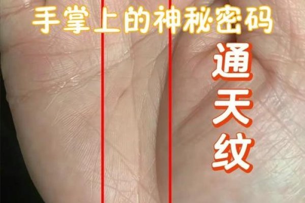 通天纹，神秘纹路之谜-新乐天