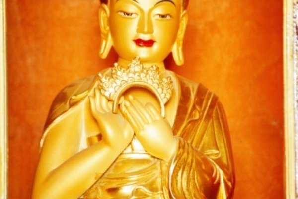 同心协力打一生肖—龙-新乐天