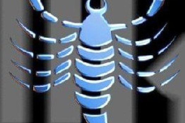 天蝎2013运势全解析-新乐天