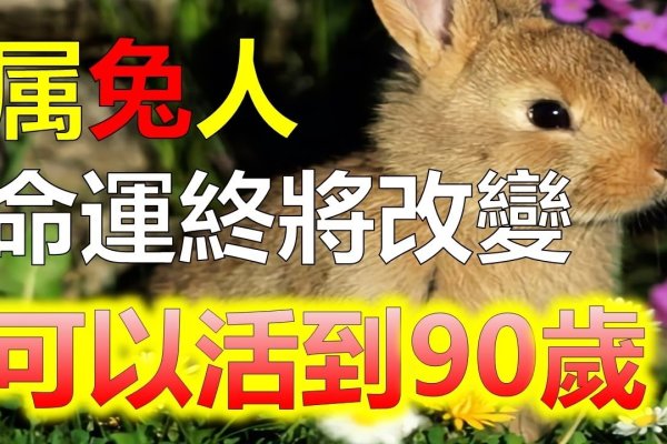 徒有虚名下的生肖解读-新乐天