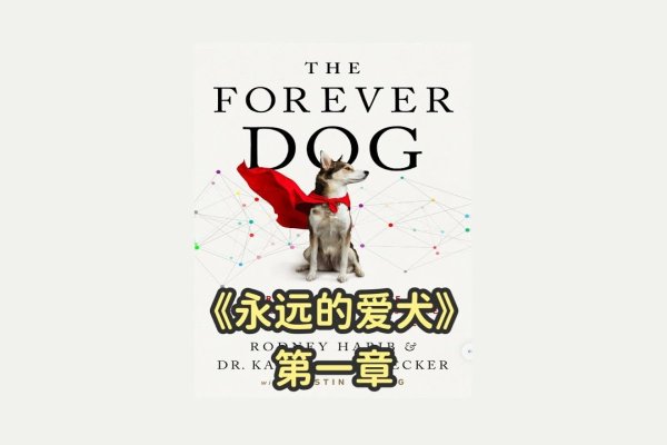 为爱犬命名，创意与深意的艺术-新乐天