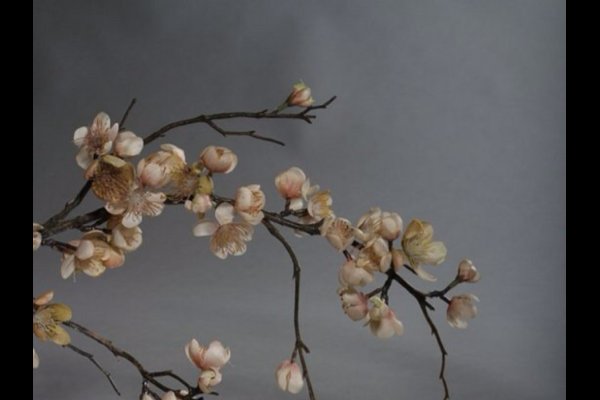 文房四宝生肖探秘-新乐天