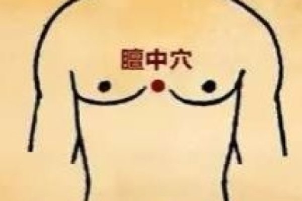 五花八门生肖探秘-新乐天