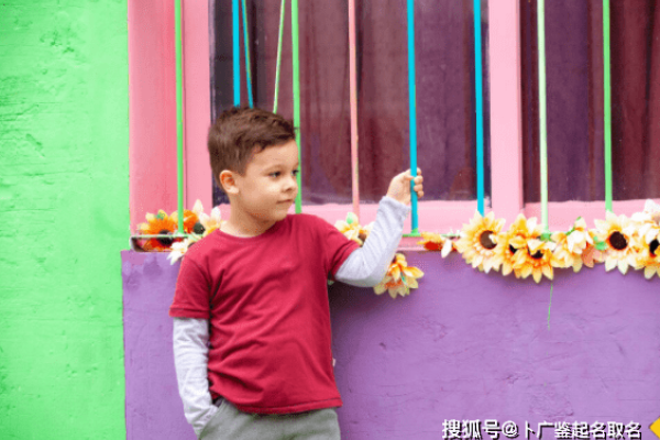 五行缺木的男孩名字的寓意与选择-新乐天