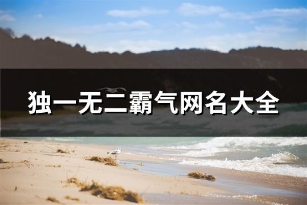 网名大全2022男生成熟，精选100个霸气网络名字。-新乐天