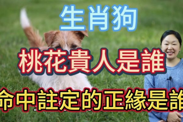 唯命是从的生肖—狗-新乐天