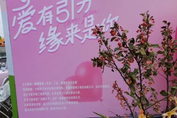 万人相亲网，万众求约，携手开启美好人生-新乐天