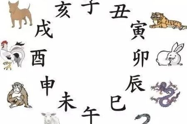 无所不知生肖揭秘-新乐天