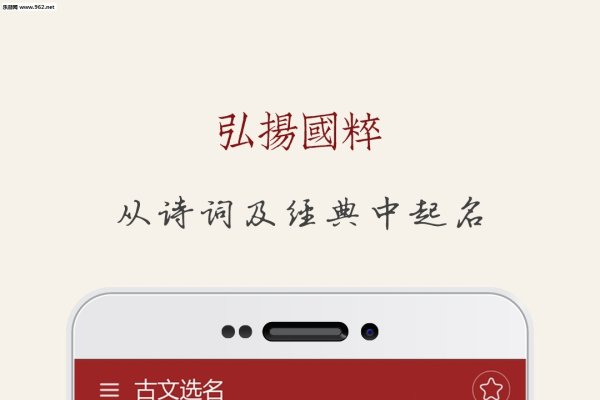 网上取名打分，数字背后的命名艺术-新乐天