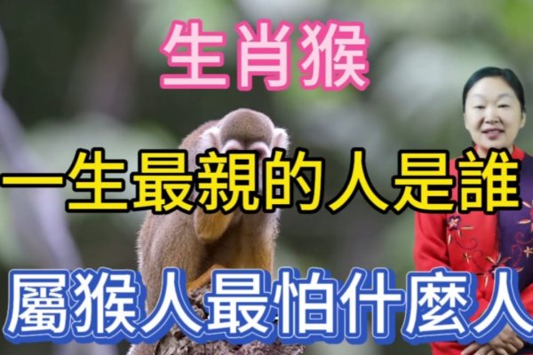 无所畏惧的生肖—猴-新乐天