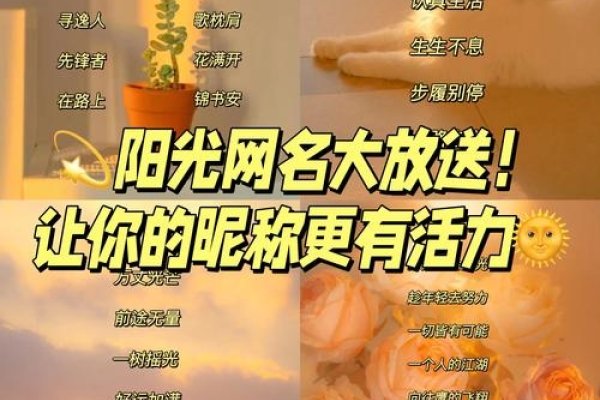 网络个性名字，释放自我、绽放光芒-新乐天
