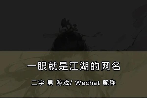 网络江湖里的独特印记，揭秘最另类的网名-新乐天