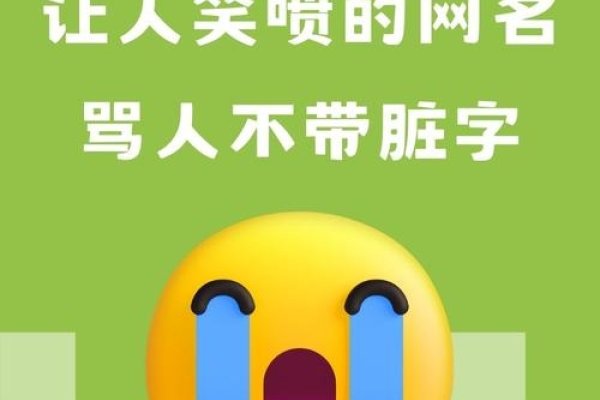 网络世界的骂人QQ网名，文化现象与影响分析-新乐天