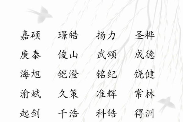 为姓李的男宝宝取名—探寻寓意深远的名字-新乐天