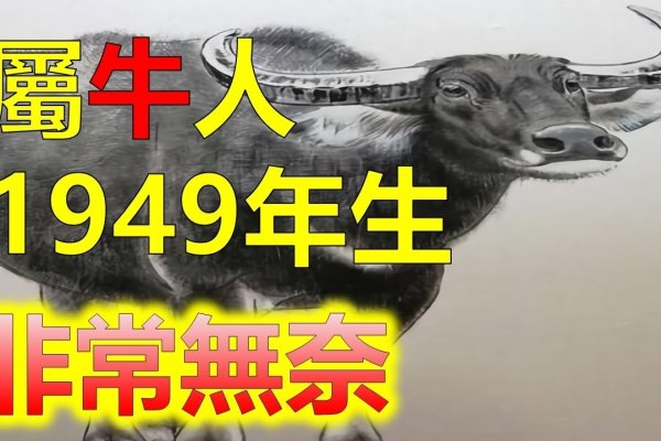 为何属牛的人不怕本命年-新乐天