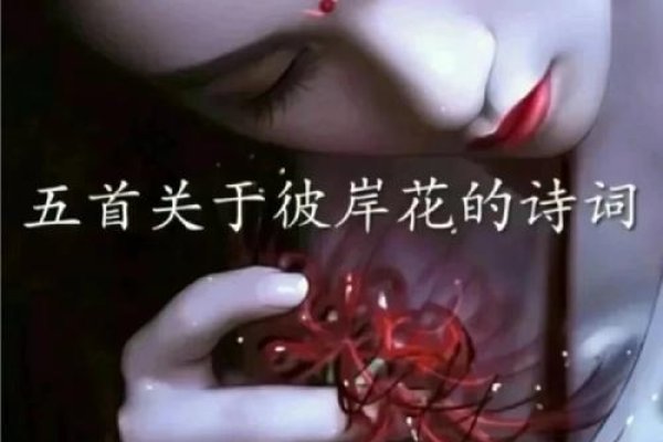 彼岸孤寂，爱如花海清风——青春的孤独与深情。-新乐天