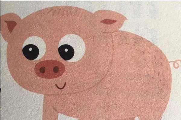 慈悲为怀的生肖—猪-新乐天