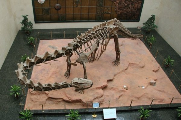 宋朝江山，龙——皇权尊贵与文化传承的象征-新乐天