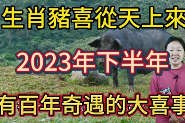 喜出望外的生肖—意外之喜的属相揭秘-新乐天