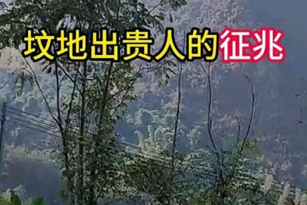 坟地出贵人的预兆-新乐天